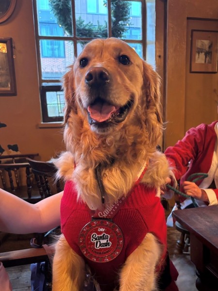 Halton CYP Service Santa Dash - Winston Mascot.jpg