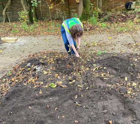 Transformation Garden 5.png