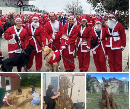 From Santa Dash to Fox (2).png
