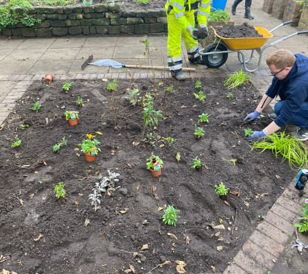 Transformation Garden 6.png