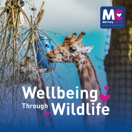 Wellbeing Wildlife WMHD.png