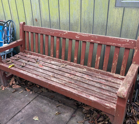 Transformation Garden 1.png