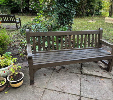 Transformation Garden 2.png
