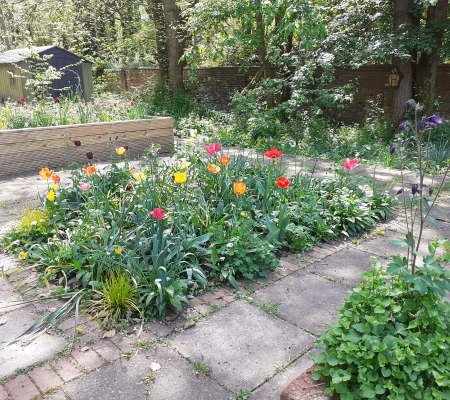 Transformation Garden 8.png