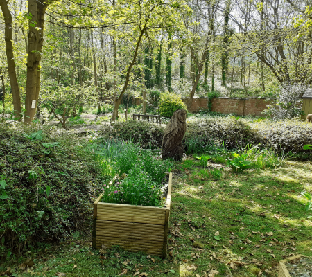 Transformation Garden 14.png