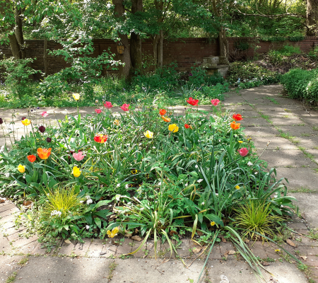 Transformation Garden 9.png